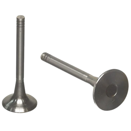 Volkswagen Engine Valves in Kenya